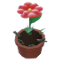 Growing Flower Hat